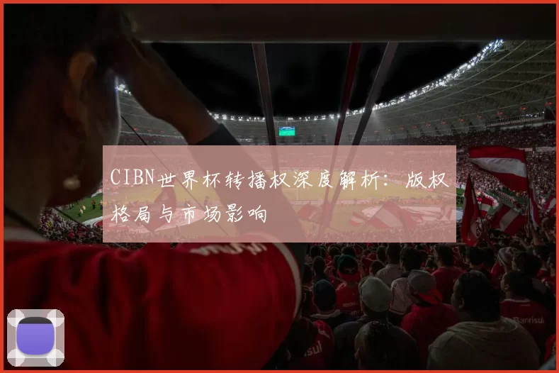 CIBN世界杯转播权深度解析：版权格局与市场影响