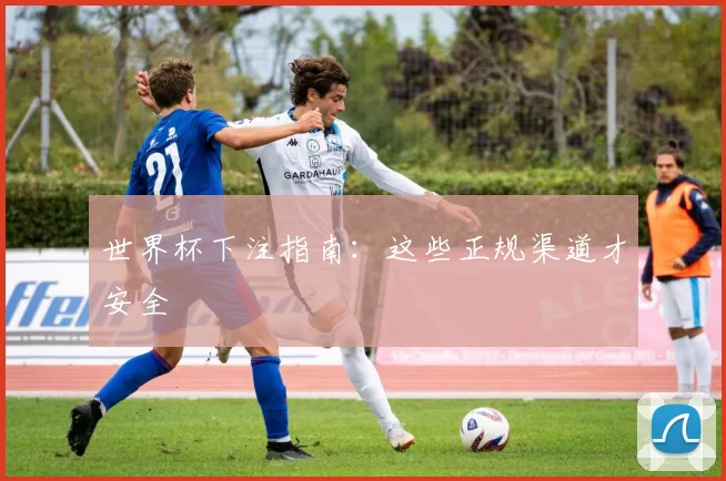 世界杯下注指南:这些正规渠道才安全
