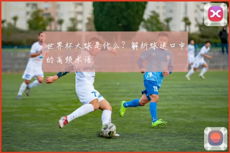 世界杯大球是什么?解析球迷口中的高频术语