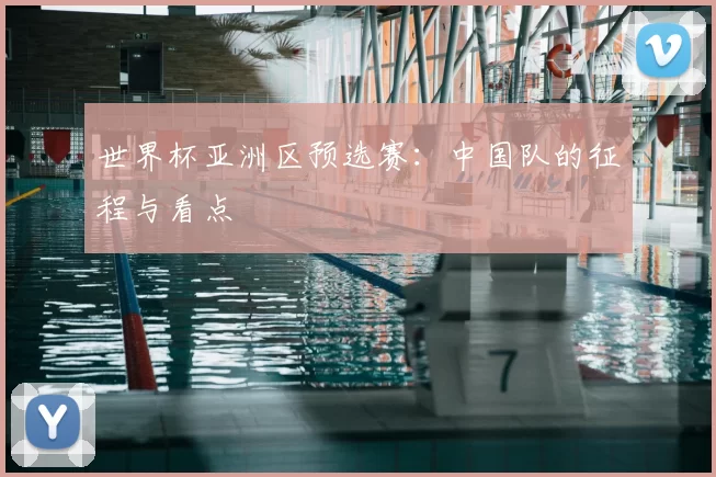 世界杯亚洲区预选赛：中国队的征程与看点