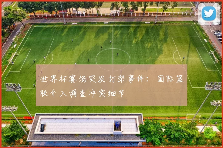 世界杯赛场突发打架事件：国际篮联介入调查冲突细节