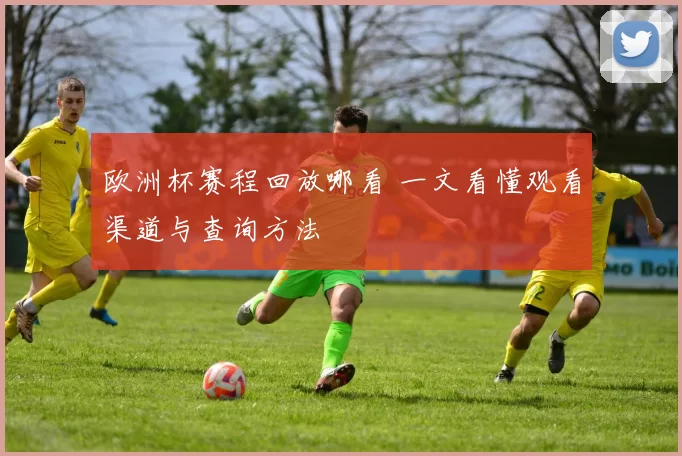 欧洲杯赛程回放哪看 一文看懂观看渠道与查询方法