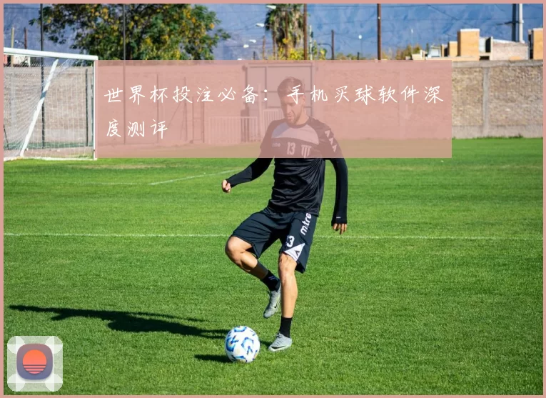 世界杯投注必备:手机买球软件深度测评