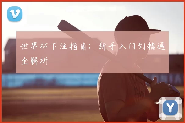世界杯下注指南:新手入门到精通全解析