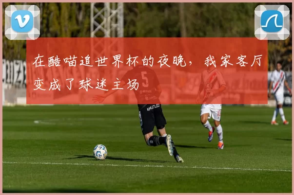 在酷喵追世界杯的夜晚,我家客厅变成了球迷主场