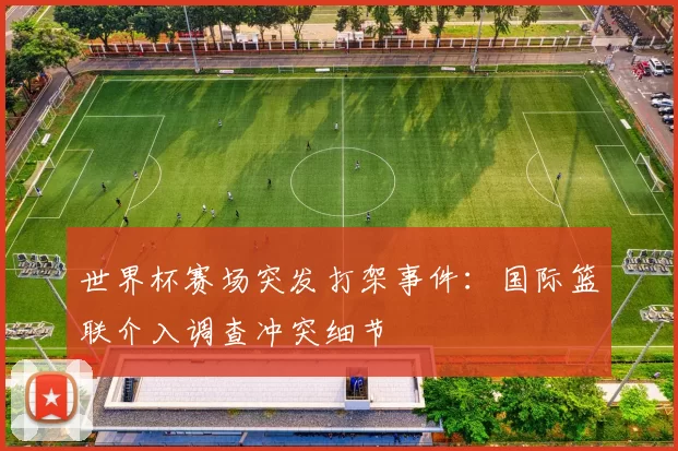 世界杯赛场突发打架事件：国际篮联介入调查冲突细节